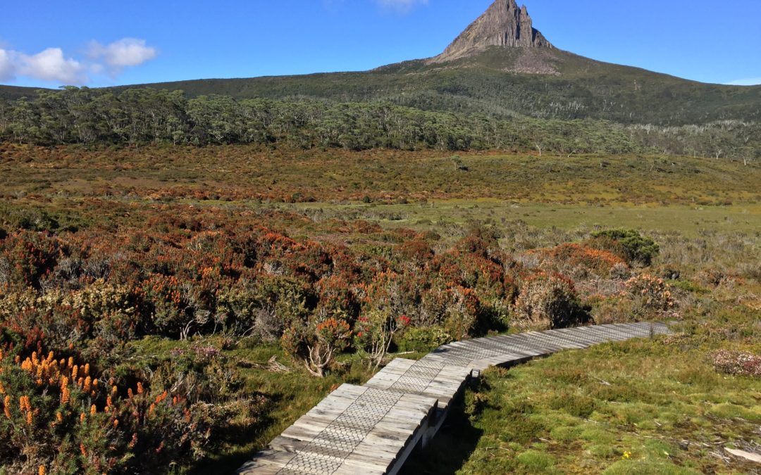 Welcome to The Overland Track