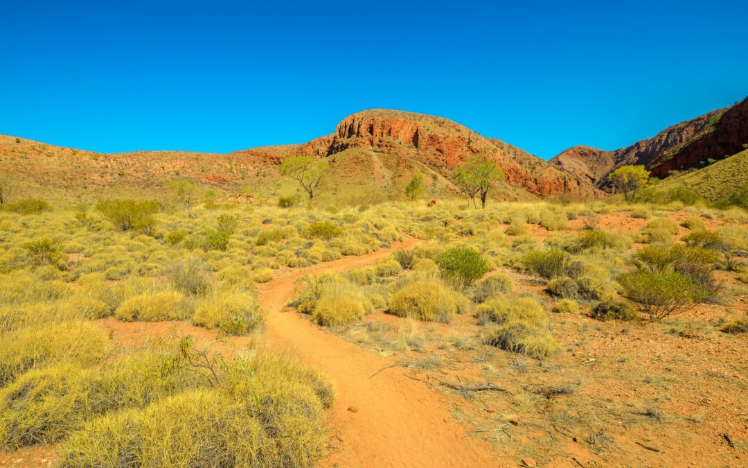 Welcome to Larapinta Trail