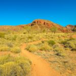 Welcome to Larapinta Trail