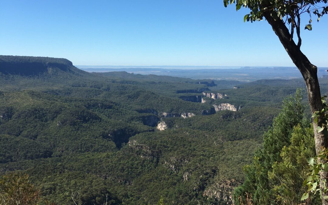 Welcome to Carnarvon Gorge