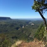 Welcome to Carnarvon Gorge