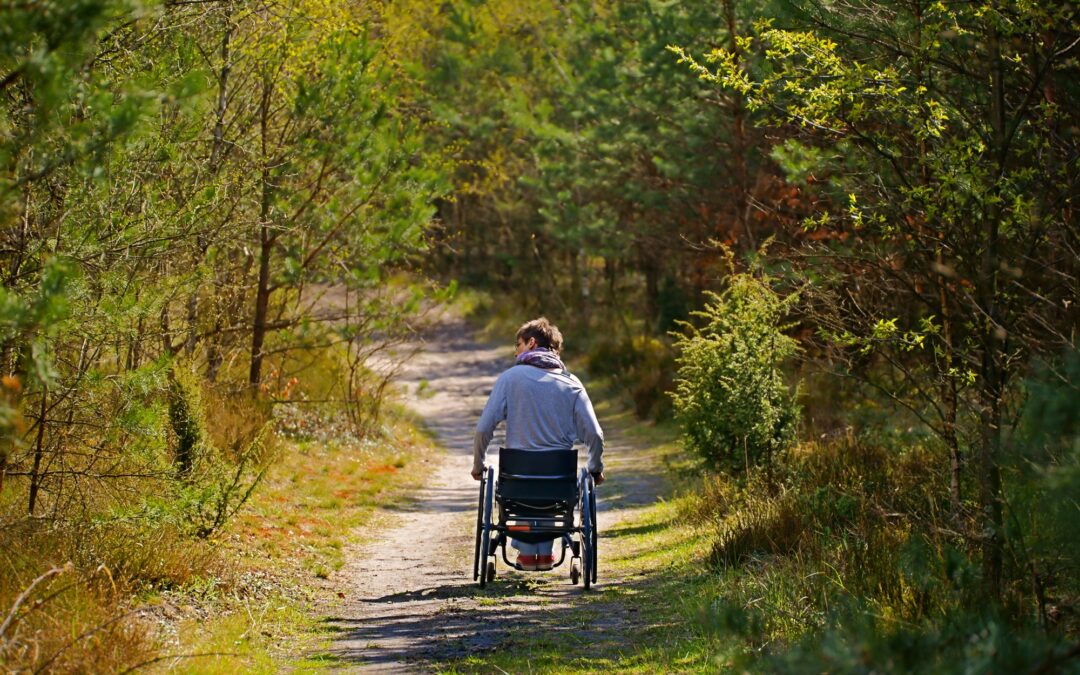 Naturally Accessible Bushwalks