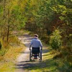Naturally Accessible Bushwalks