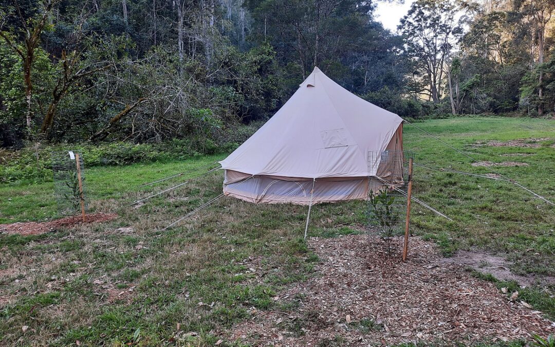 Bunyip campsite